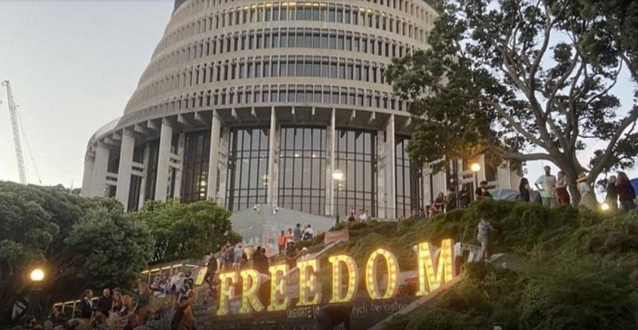 Freedom Lights up Parliament